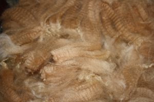 Raw Fawn Fiber